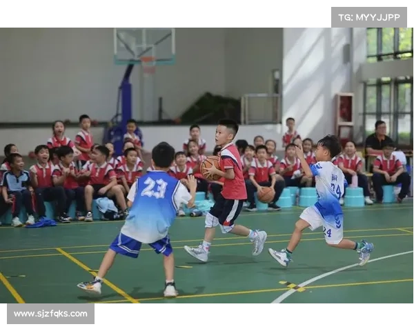 南宁体育赛事 2024南宁体育赛事热潮席卷全城全民健身热情高涨共享运动快乐