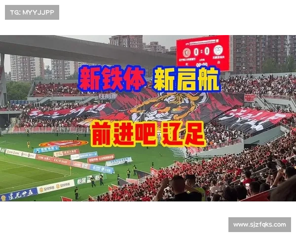 2017辽足主场赛事_辽足历年主场